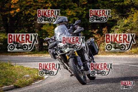 Forca d Acero 12-10-25 h14-20 1843