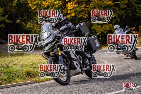 Forca d Acero 12-10-25 h14-20 1844