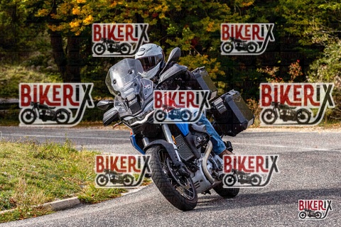 Forca d Acero 12-10-25 h14-20 1845