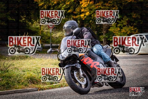 Forca d Acero 12-10-25 h14-20 1848