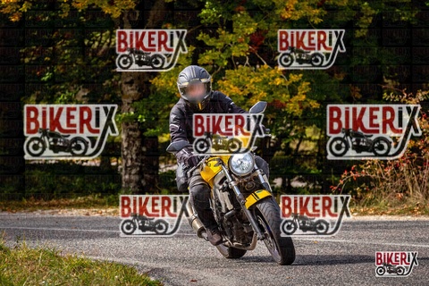 Forca d Acero 12-10-25 h14-20 1851