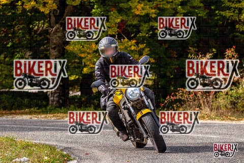 Forca d Acero 12-10-25 h14-20 1852