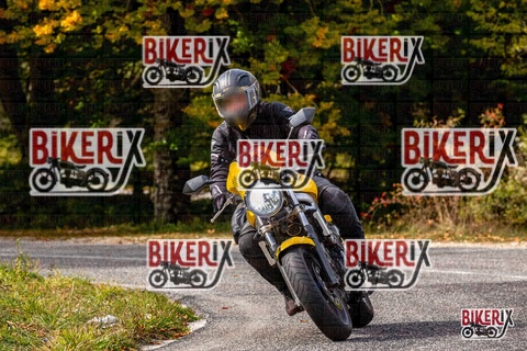 Forca d Acero 12-10-25 h14-20 1853