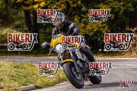 Forca d Acero 12-10-25 h14-20 1854