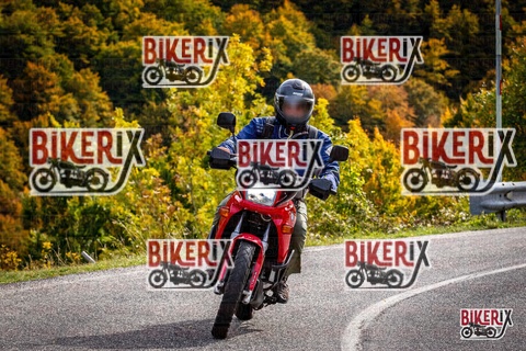 Forca d Acero 12-10-25 h14-22 1857