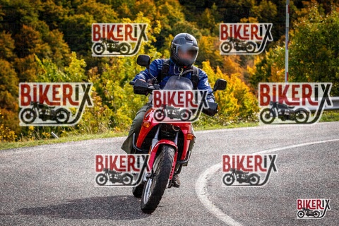 Forca d Acero 12-10-25 h14-22 1858