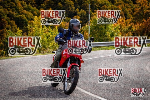 Forca d Acero 12-10-25 h14-22 1859