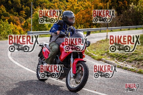 Forca d Acero 12-10-25 h14-22 1860