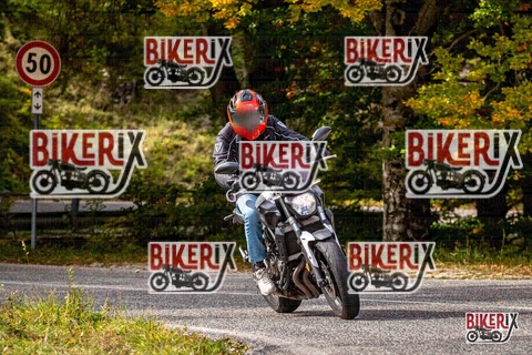 Forca d Acero 12-10-25 h14-23 1865