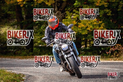 Forca d Acero 12-10-25 h14-23 1866