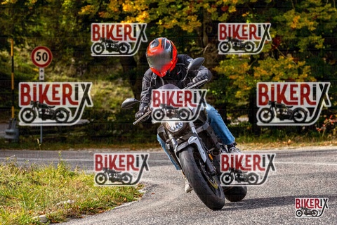 Forca d Acero 12-10-25 h14-23 1867