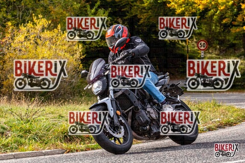 Forca d Acero 12-10-25 h14-23 1868