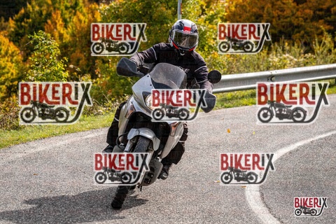 Forca d Acero 12-10-25 h14-51 1984