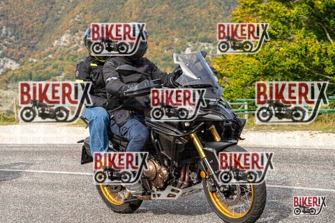 Forca d Acero 12-10-25 h15-38 2146