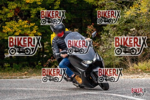 Forca d Acero 12-10-25 h16-15 2363