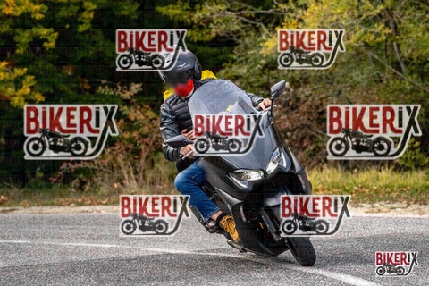 Forca d Acero 12-10-25 h16-15 2366