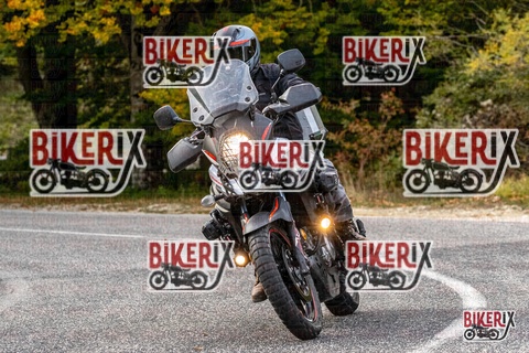 Forca d Acero 12-10-25 h16-17 2367