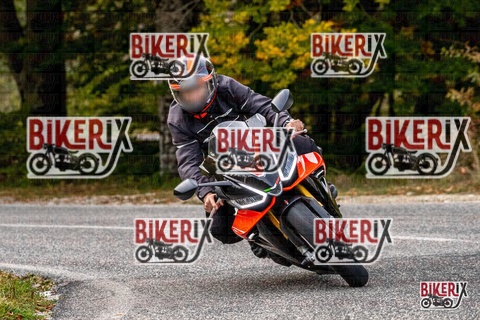 Forca d Acero 12-10-25 h16-18 2373