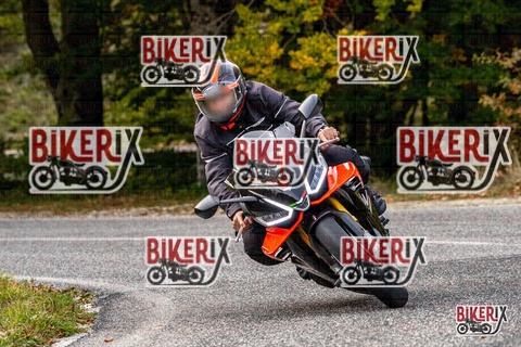 Forca d Acero 12-10-25 h16-18 2374