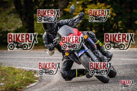 Forca d Acero 12-10-25 h16-18 2381