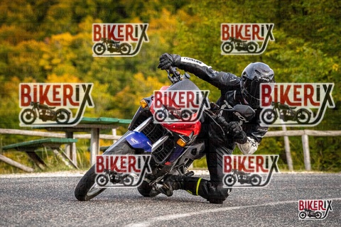 Forca d Acero 12-10-25 h16-19 2384