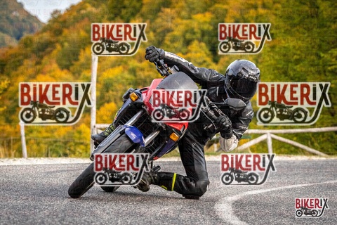 Forca d Acero 12-10-25 h16-20 2385