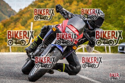 Forca d Acero 12-10-25 h16-20 2387