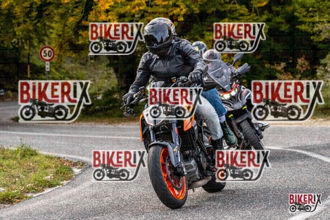 Forca d Acero 12-10-25 h16-22 2390