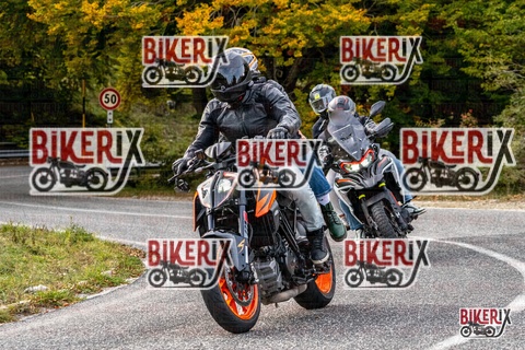 Forca d Acero 12-10-25 h16-22 2391