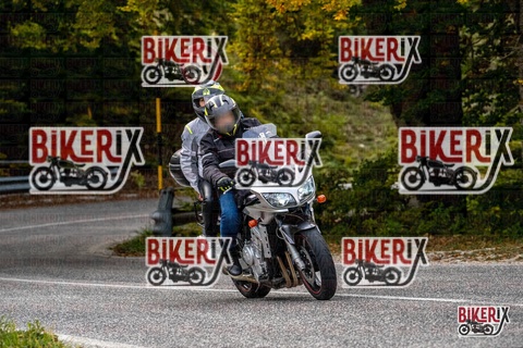 Forca d Acero 12-10-25 h16-25 2401