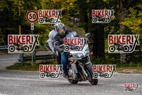 Forca d Acero 12-10-25 h16-25 2403