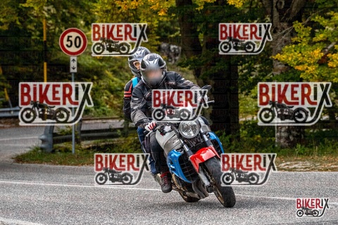 Forca d Acero 12-10-25 h16-25 2406