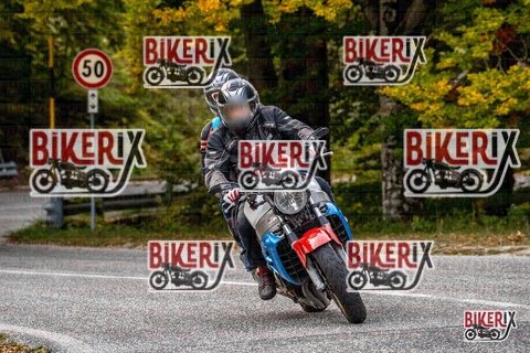 Forca d Acero 12-10-25 h16-25 2408