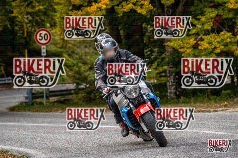 Forca d Acero 12-10-25 h16-25 2409