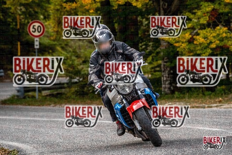 Forca d Acero 12-10-25 h16-25 2410