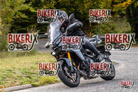 Forca d Acero 12-10-25 h16-29 2416