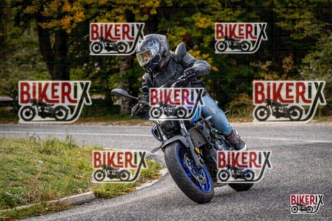 Forca d Acero 12-10-25 h16-37 2436