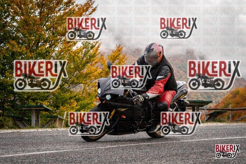 Forca d Acero 18-10-25 h11-15 0008