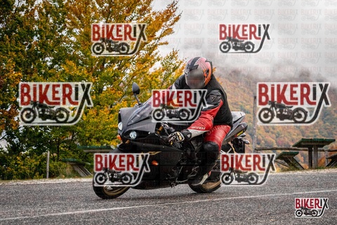 Forca d Acero 18-10-25 h11-15 0009