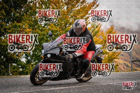 Forca d Acero 18-10-25 h11-15 0010