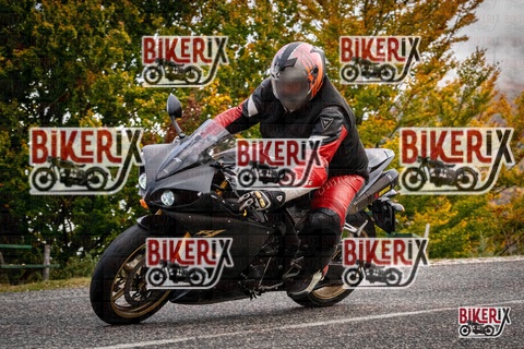 Forca d Acero 18-10-25 h11-15 0011