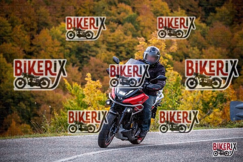 Forca d Acero 18-10-25 h11-22 0016