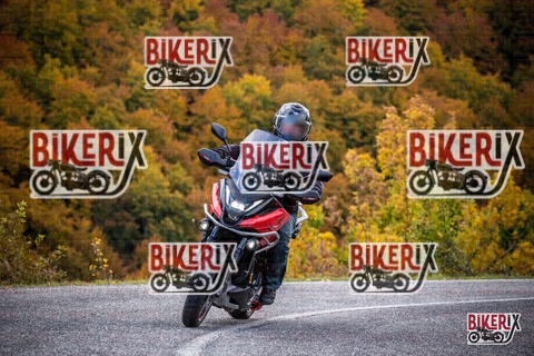 Forca d Acero 18-10-25 h11-22 0017