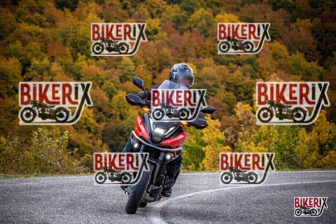 Forca d Acero 18-10-25 h11-22 0018