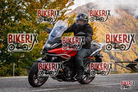 Forca d Acero 18-10-25 h11-22 0028