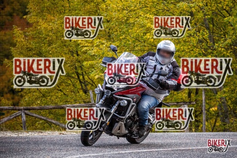 Forca d Acero 18-10-25 h11-27 0045