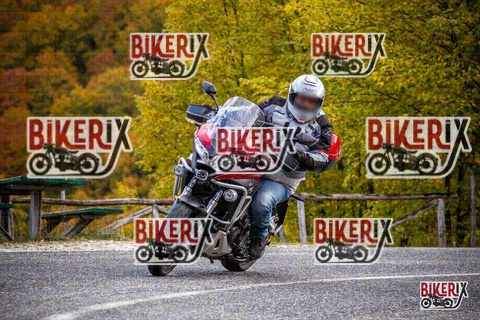 Forca d Acero 18-10-25 h11-27 0046