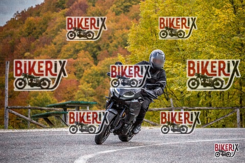 Forca d Acero 18-10-25 h11-27 0054