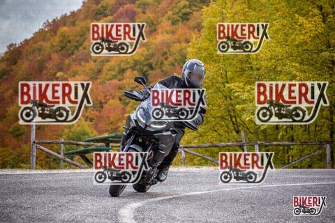 Forca d Acero 18-10-25 h11-27 0055