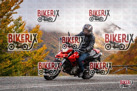 Forca d Acero 18-10-25 h11-28 0061